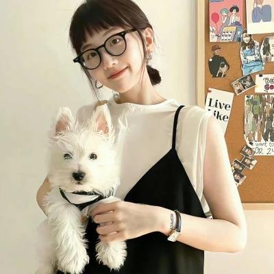世界街头女斗士3